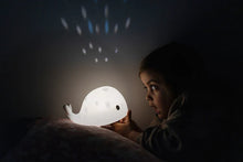 Afbeelding in Gallery-weergave laden, Projector Moby - Flow Amsterdam
