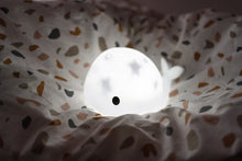 Afbeelding in Gallery-weergave laden, Projector Moby - Flow Amsterdam
