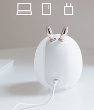 Afbeelding in Gallery-weergave laden, Led-lamp Bunny - Mykelys
